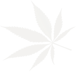 small cannabis leaf