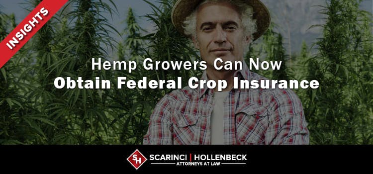 Hemp Growers Can Now Obtain Federal Crop Insurance