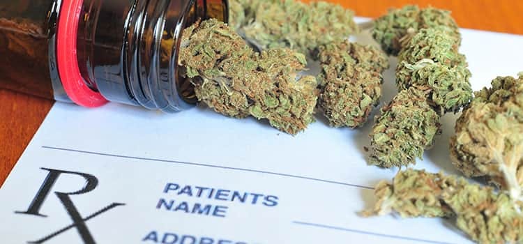 NJ Appeals Court Reinstates NJLAD Suit Arising from Medical Marijuana Use