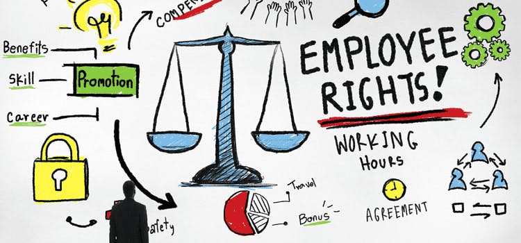 In this past year (2015), the U.S. Supreme Court issued a number of important employment law decisions. Federal employment law agencies such as the Department of Labor, the Equal Employment Opportunity Commission (EEOC) and the National Labor Relations Board (NLRB) published rules and guidance that significantly impact employer compliance in a number of key areas.