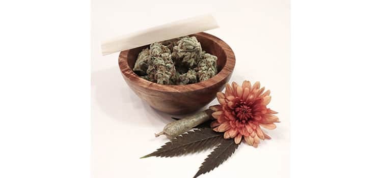 New Jersey Legislature Also Advances Medical Marijuana Bills