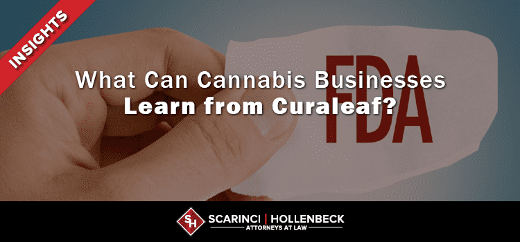 What Can Cannabis Businesses Learn from Curaleaf?