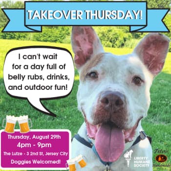Liberty Humane Society Titos Takeover Yappy Hour