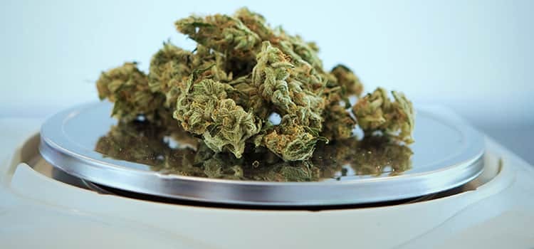 New Jersey Must Consider Marijuana Reclassification