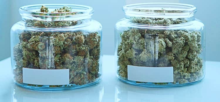 One Step Closer To Expansion Of NJ Medical Marijuana Program