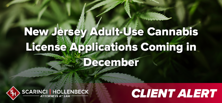 New Jersey Adult-Use Cannabis License Applications Coming in December