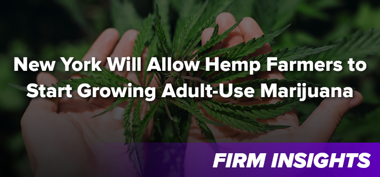 New York Will Allow Hemp Farmers to Start Growing Adult-Use Marijuana