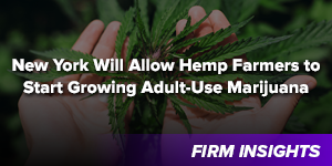 New York Will Allow Hemp Farmers to Start Growing Adult-Use Marijuana