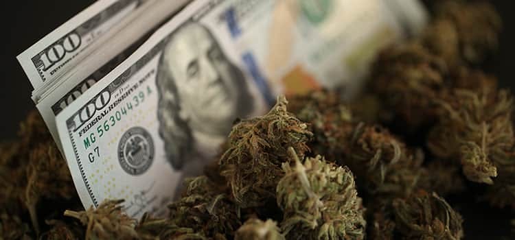 ﻿Will Calls for Cannabis Banking Clarity Lead to Results?